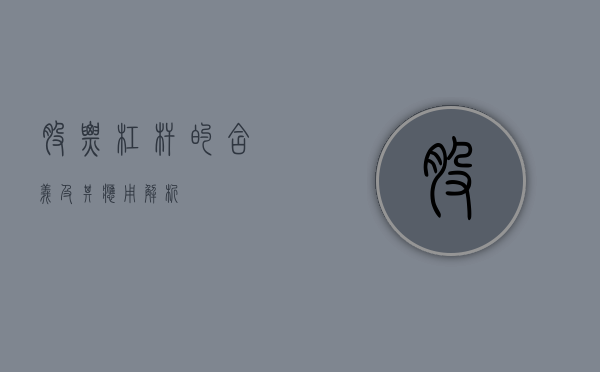 股票杠杆的含义及其应用解析