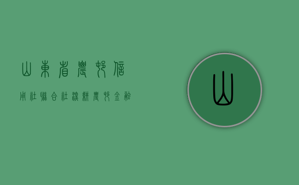 山东省农村信用社联合社，深耕农村金融服务，助力地方经济发展
