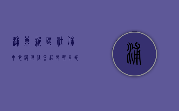 浦东新区社保中心，构建社会保障体系的坚实基石
