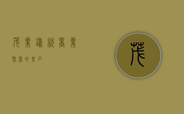 茂业，铸就商业繁荣的基石