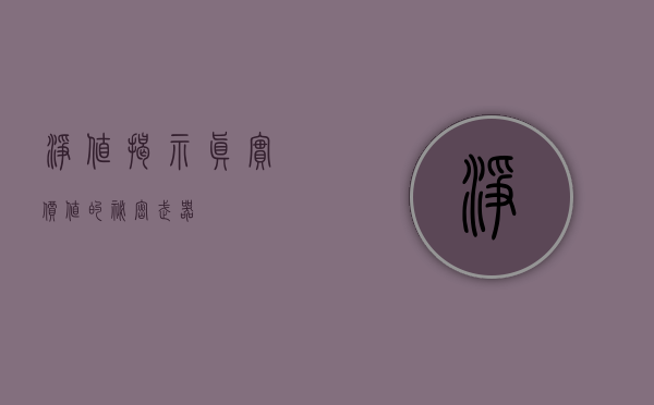 净值，揭示真实价值的秘密武器