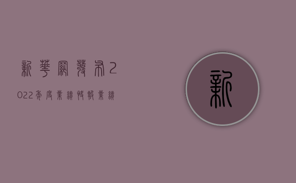 新华网发布2022年度业绩快报，业绩稳健，前景光明