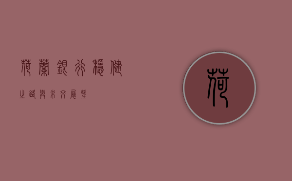 荷兰银行，稳健之路与未来展望