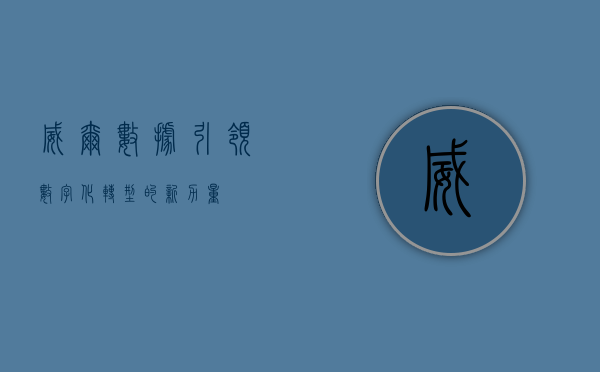 威尔数据，引领数字化转型的新力量