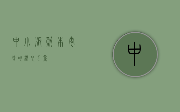 中小板,资本市场的核心力量