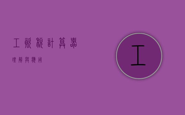 工资税计算器，理解与应用