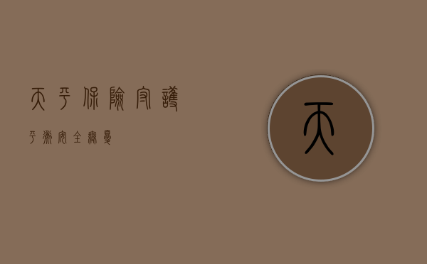 天平保险，守护平衡，安全无忧