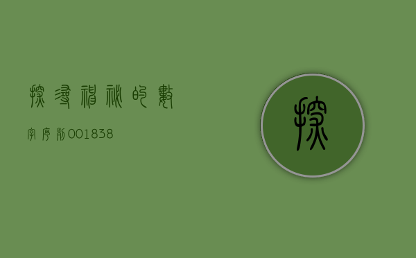 探寻神秘的数字序列，001838