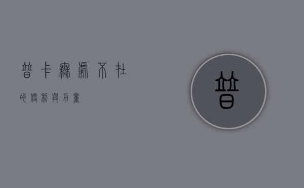 普卡，无处不在的便利与力量