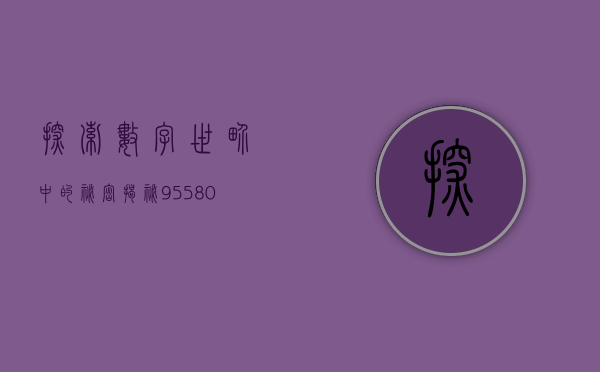 探索数字世界中的秘密，揭秘95580的神秘面纱
