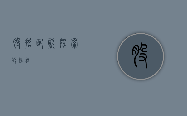 股指配资，探索与机遇