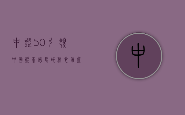 中证50，引领中国资本市场的核心力量