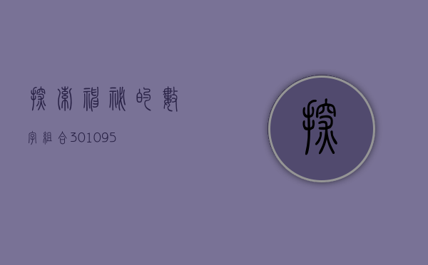 探索神秘的数字组合，301095