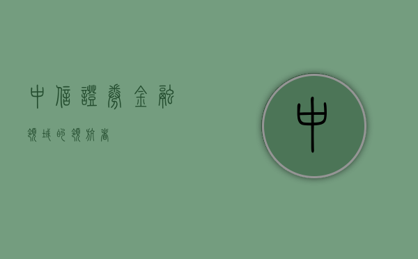中信证券，金融领域的领航者