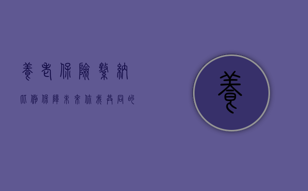 养老保险缴纳比例，保障未来，你我共同的责任