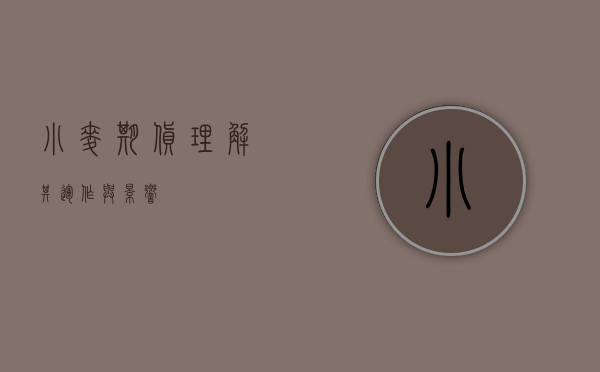 小麦期货，理解其运作与影响