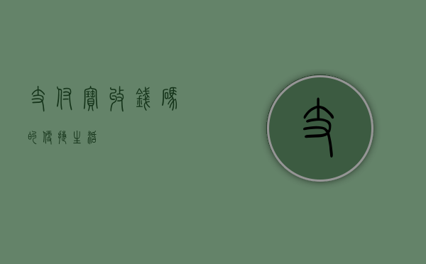 支付宝收钱码的便捷生活