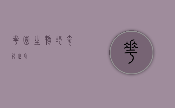 花园生物的奇妙世界