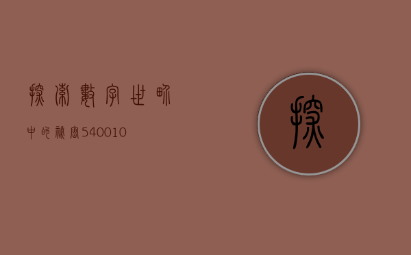 探索数字世界中的秘密，540010