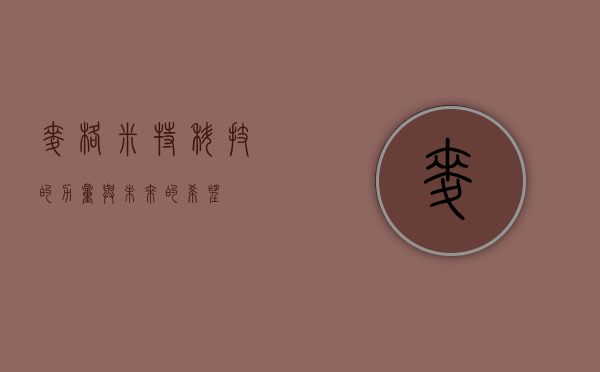麦格米特，科技的力量与未来的希望