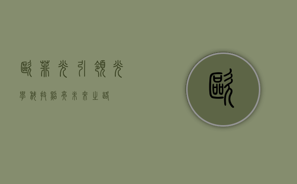 欧菲光，引领光学科技，照亮未来之路