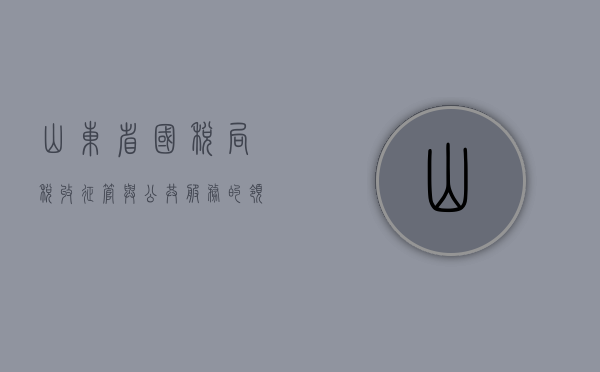山东省国税局，税收征管与公共服务的领跑者