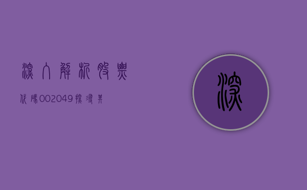 深入解析股票代码，002049—探寻其背后的商业价值与发展潜力