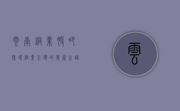 云南铜业股吧，探寻铜业巨头的发展之路