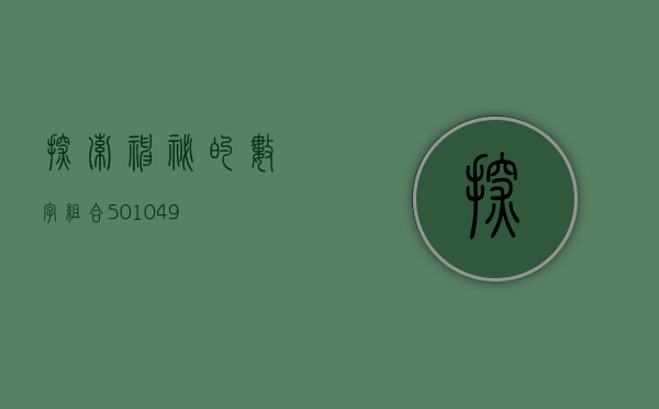 探索神秘的数字组合，501049