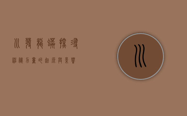 川发龙蟒，探寻神秘力量的起源与影响