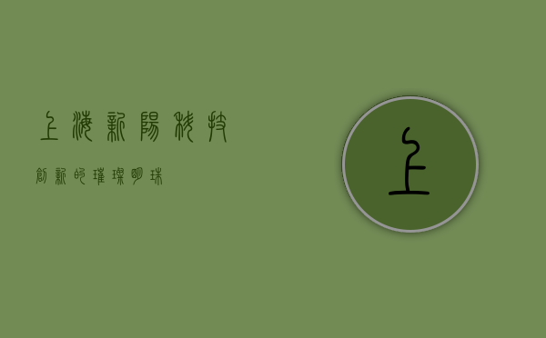 上海新阳，科技创新的璀璨明珠