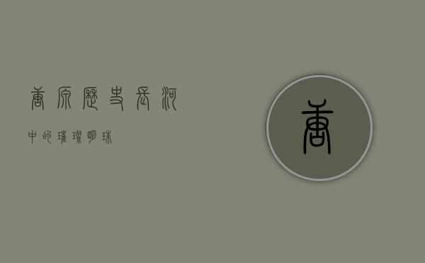 唐源，历史长河中的璀璨明珠