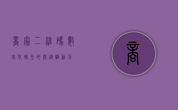商家二维码，数字化转型的关键驱动力