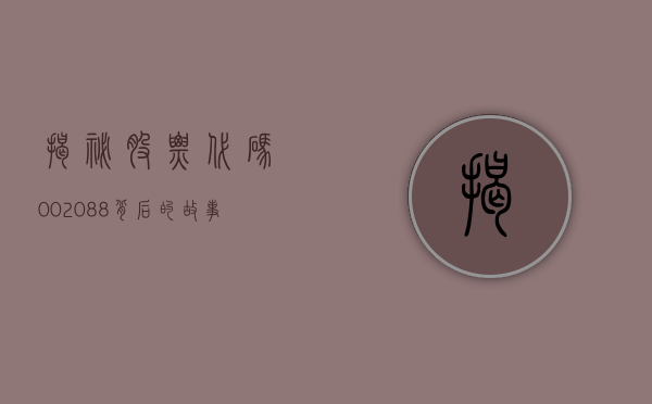 揭秘股票代码002088，背后的故事与未来展望