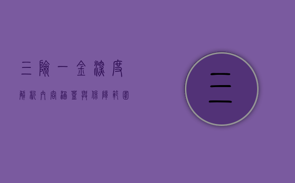 三险一金深度解析，内容涵盖与保障范围