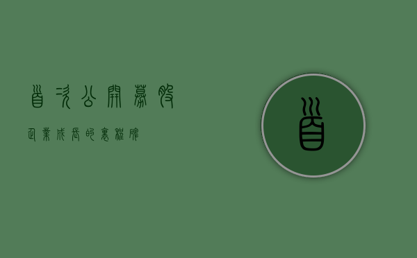 首次公开募股，企业成长的里程碑