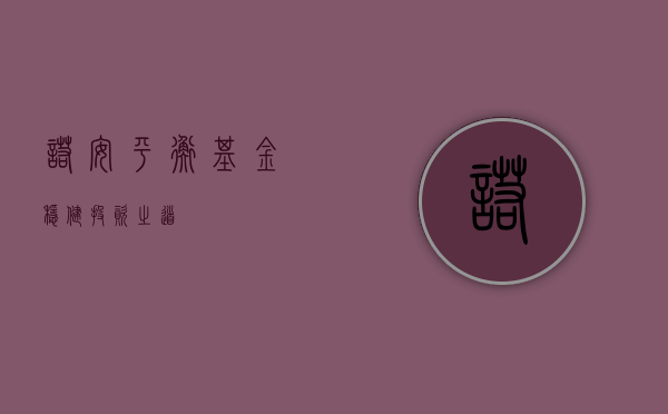 诺安平衡基金，稳健投资之道