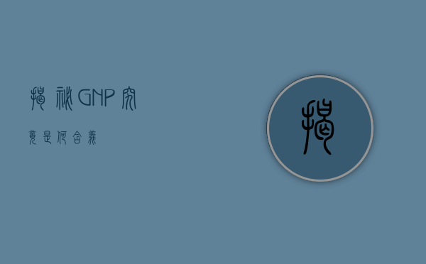 揭秘GNP，究竟是何含义？