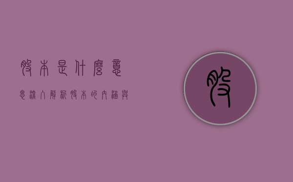 股本是什么意思—深入解析股本的内涵与外延