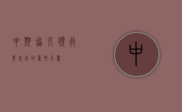 中期协，引领行业前行的重要力量