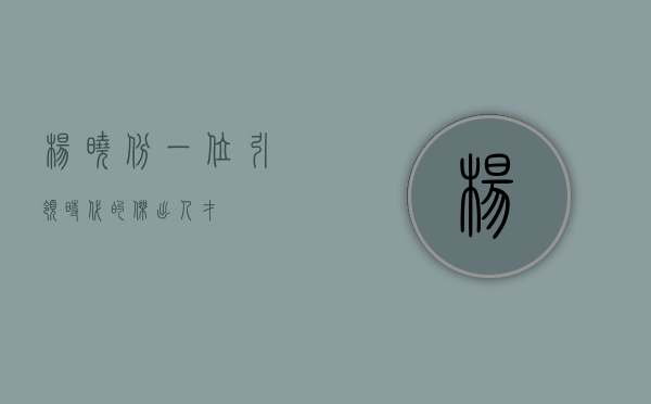 杨晓斌，一位引领时代的杰出人才