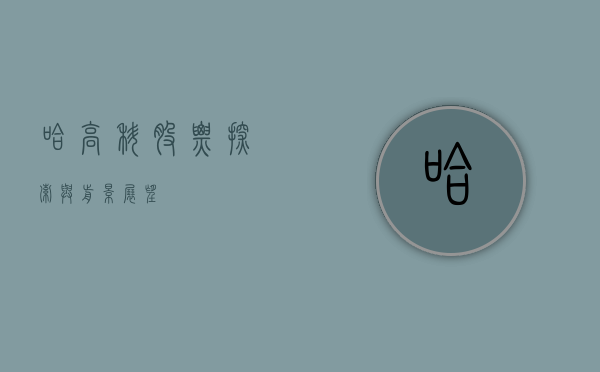 哈高科股票，探索与前景展望
