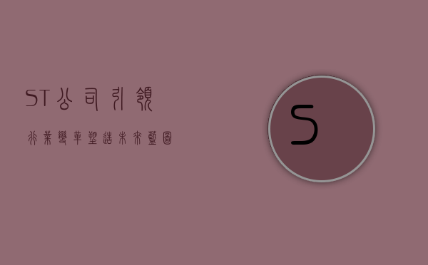 ST公司，引领行业变革，塑造未来蓝图