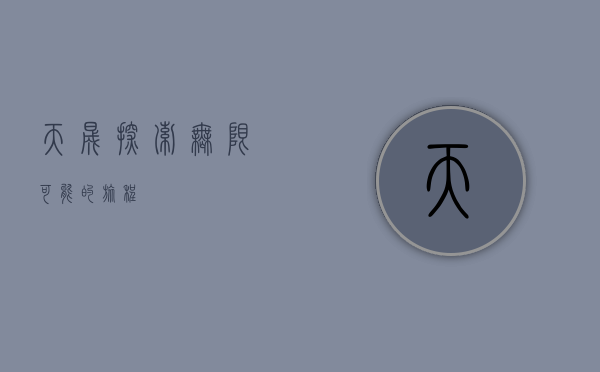 天晟，探索无限可能的旅程
