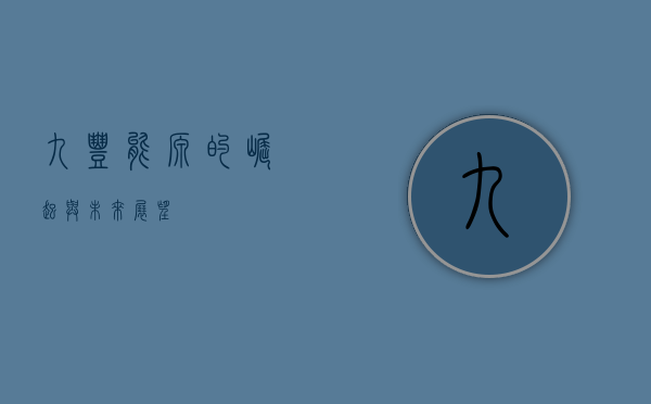 九丰能源的崛起与未来展望