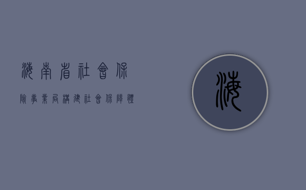 海南省社会保险事业局，构建社会保障体系的坚实基石