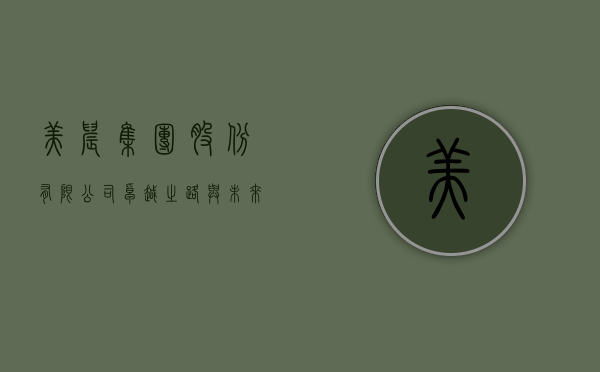 美晨集团股份有限公司，卓越之路与未来展望