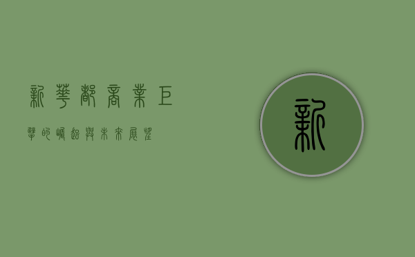 新华都,商业巨擘的崛起与未来展望