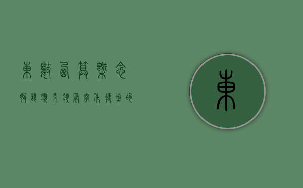 东数西算概念股龙头，引领数字化转型浪潮的新动力