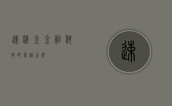 速汇金，金融科技的卓越之选
